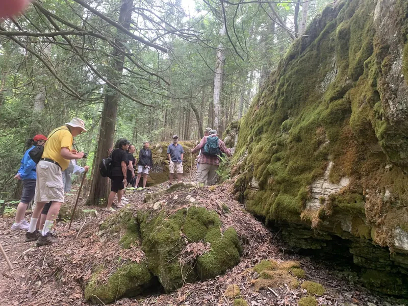 A wall of moss-covered dolostone beside the trail with hikers below