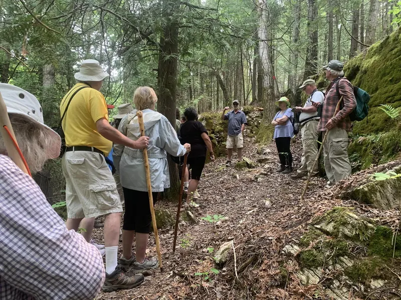 A group of hikers in sun hats walking a forest path beside rock outcrops