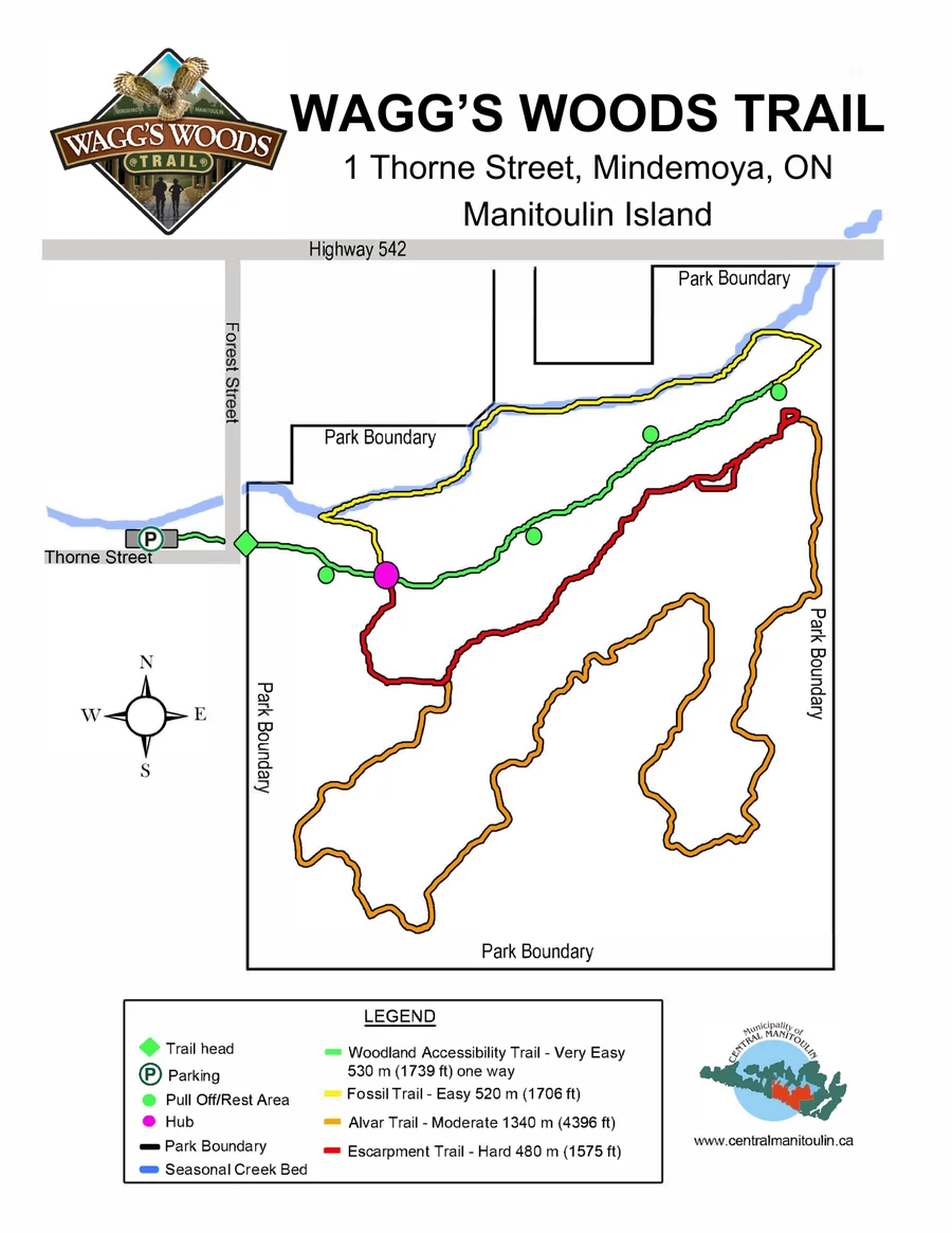 Map of Wagg's Woods showing the Woodland, Fossil, Alvar and Escarpment trails, parking and trailhead at Thorne Street